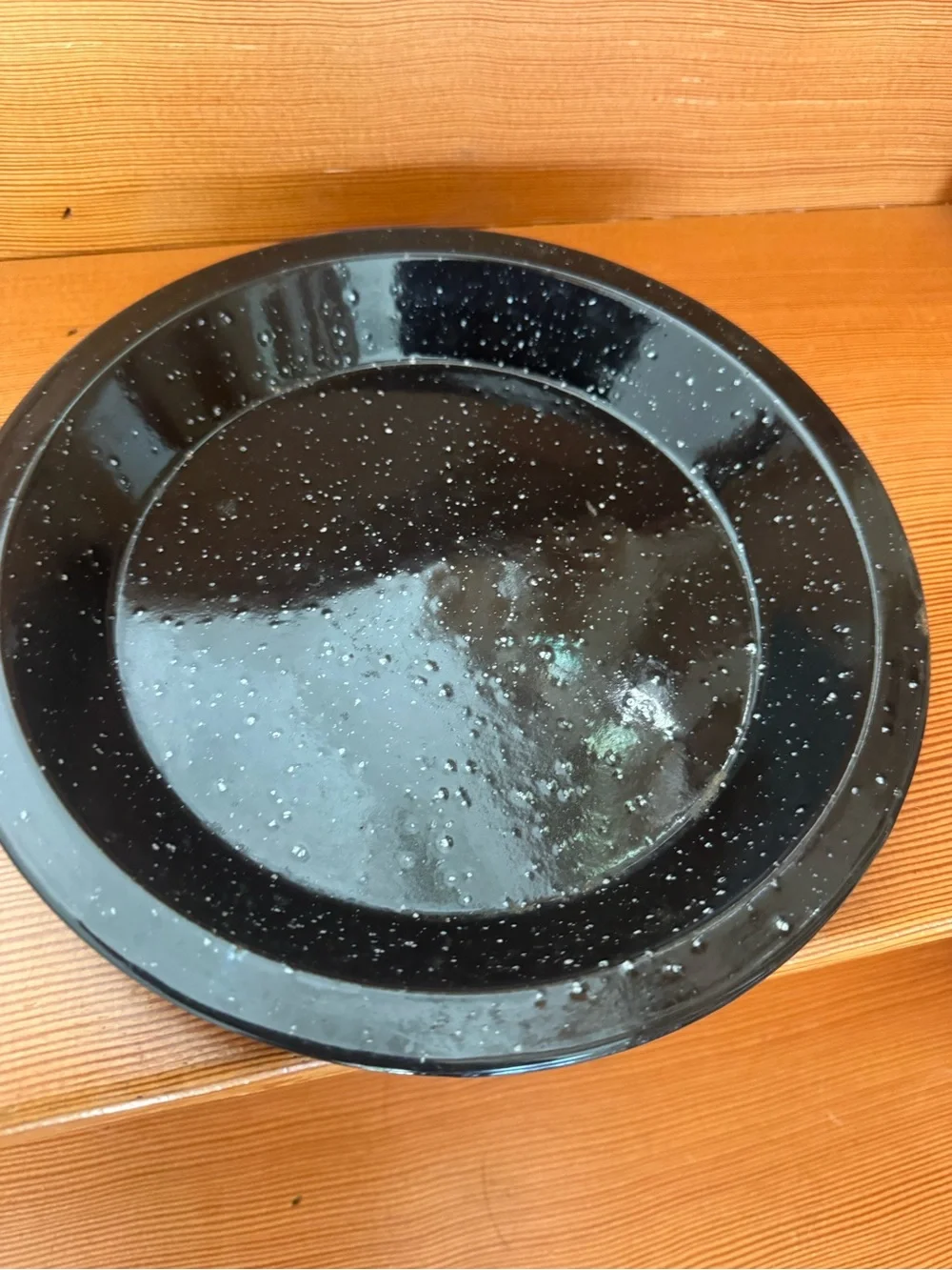 VTG Black Speckled Enamelware Plates - Set of 2 for camping, outdoor, travel